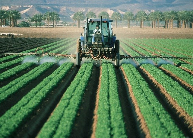 Avales de Garántia a los agricultores para facilitar los anticipos de fondos Feader